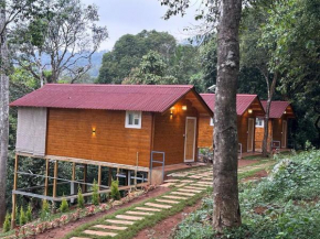 Coorg Jungle Mist